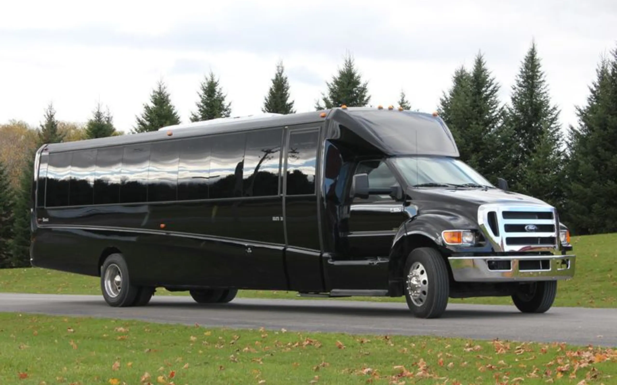 26 Passengers Party Bus 26 Passengers Party Bus